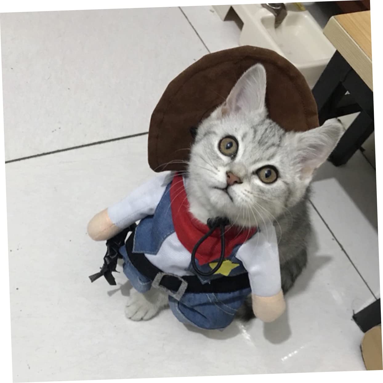 3 Juegos Disfraz de transformación de Mascota Suministros de Mascotas Ropa Divertida para Mascotas Trajes de Gato Vestidos Ropa de Gato Tela Creativa para Gatos Set de Ropa paño