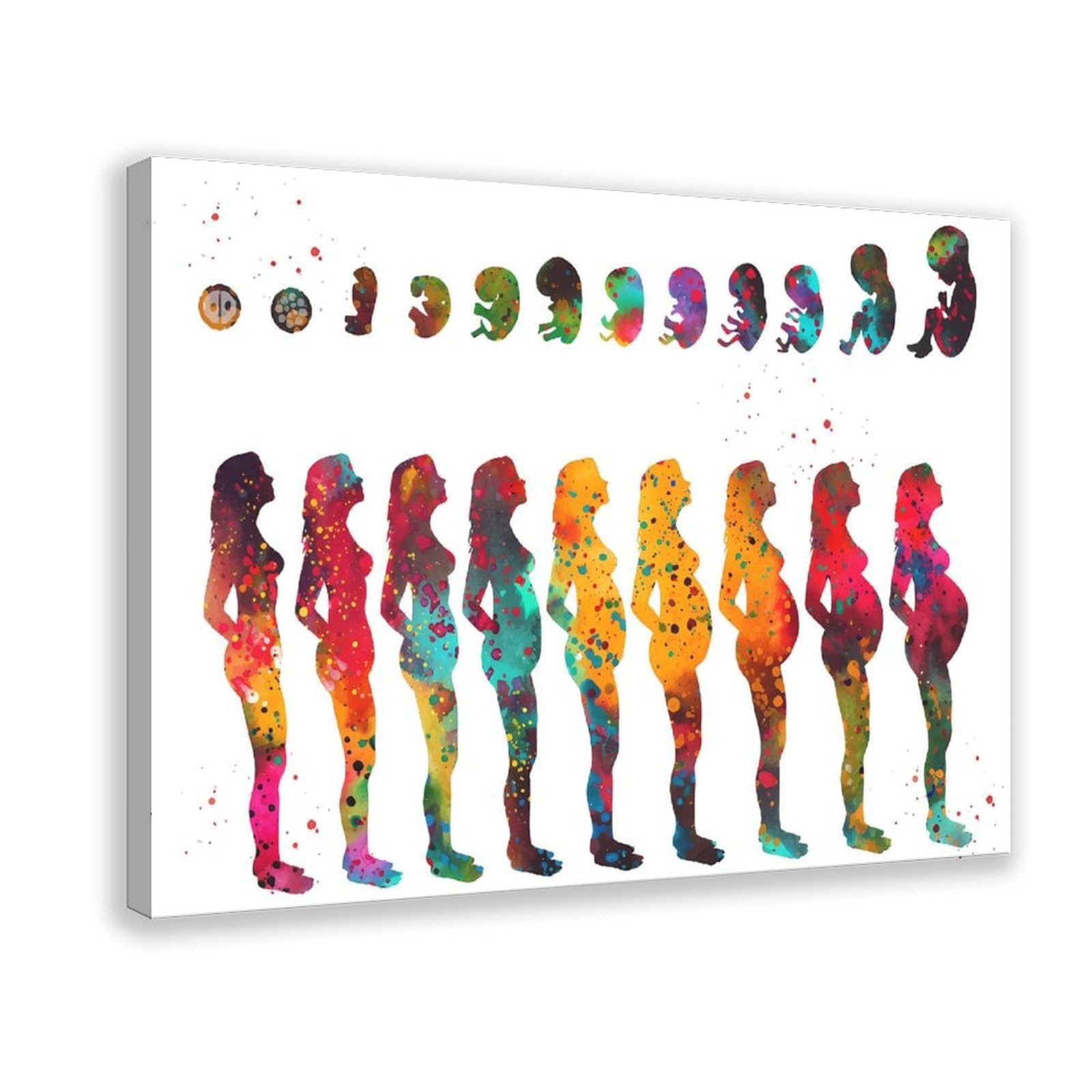 QNVJQKDSI Pregnancy Stages Art Canvas Poster Wall Art Decor Print Picture Paintings for Living Room Bedroom Decoration 8" L X 12" W