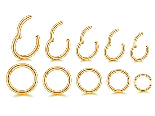 HQLA 16G Surgical Steel Hinged Clicker Segment Nose Rings Hoop
