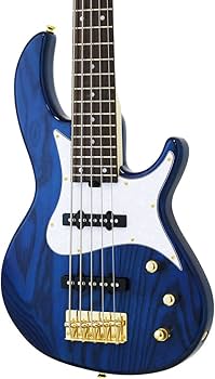 Amazon.co.jp: AriaProII RSBベース 5弦 SBL RSB-42AR/5 : 楽器・音響機器