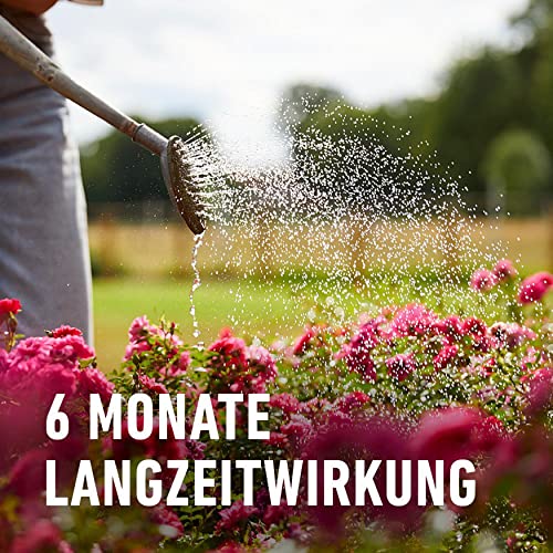 COMPO Rosen Langzeit-Dünger 2 kg, 6 Monate Wirkung, Rosendünger – Ansicht 5