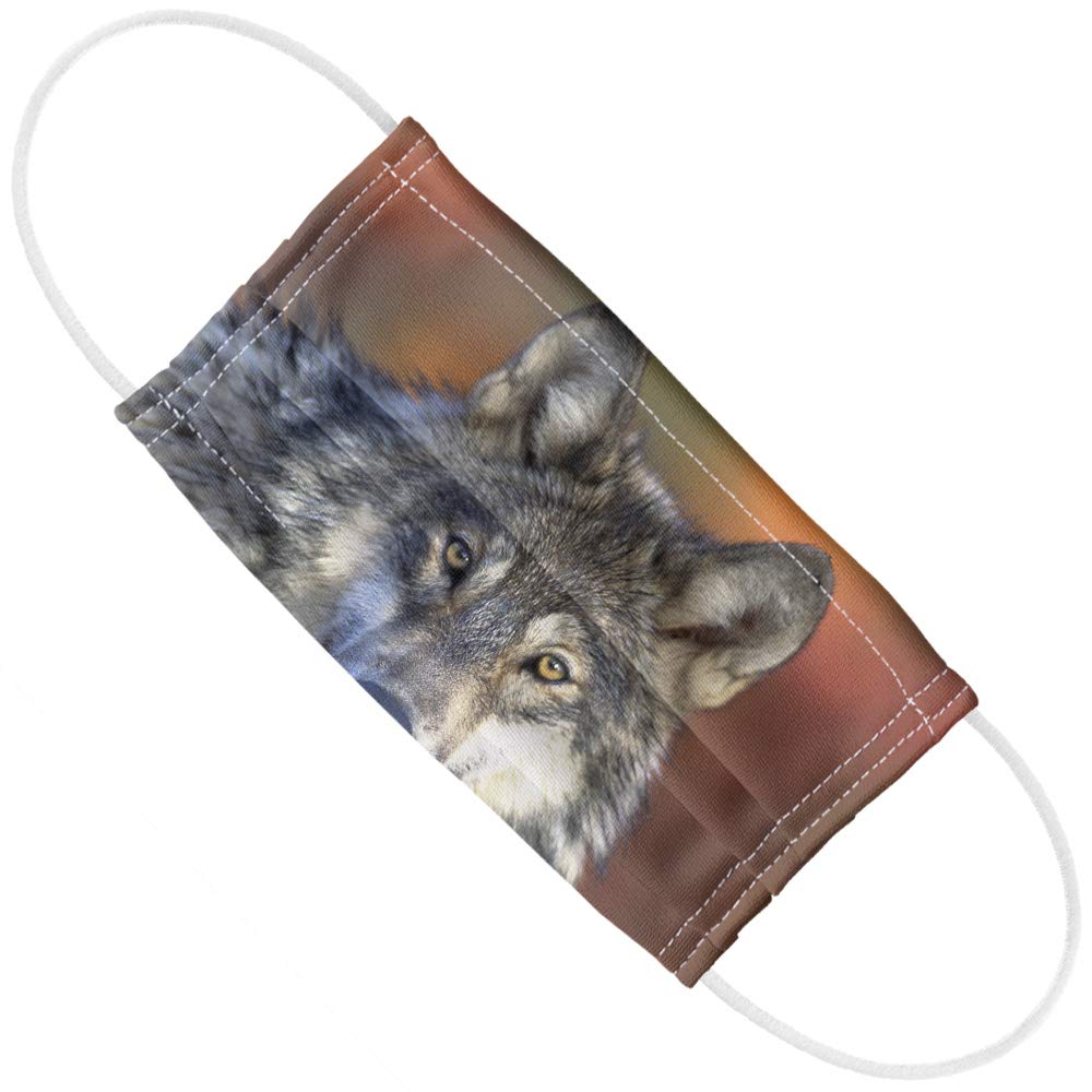 Popfunk Gray Wolf with Fall Background 1-Ply Reusable Face Mask Covering with Adjustable Nose Wire, Unisex