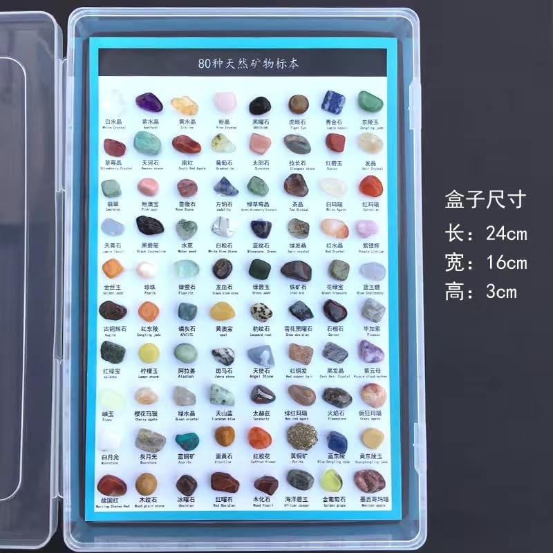 Amazon | 子ども コレクション 鉱石 標本 天然石 子供 天然 岩石
