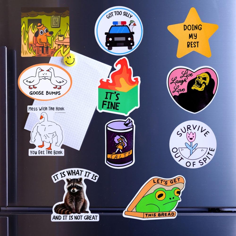 Yj Premiums B 12Pc Funny Fridge Magnets Cute Fun Sassy Quirky Novelty Magnet For Adults Car Desk Kitchen Meme This Is Fine Dumpster Dog Live Laugh Love Howdy Silly Goose Umps Raccoon Accessories Gifts