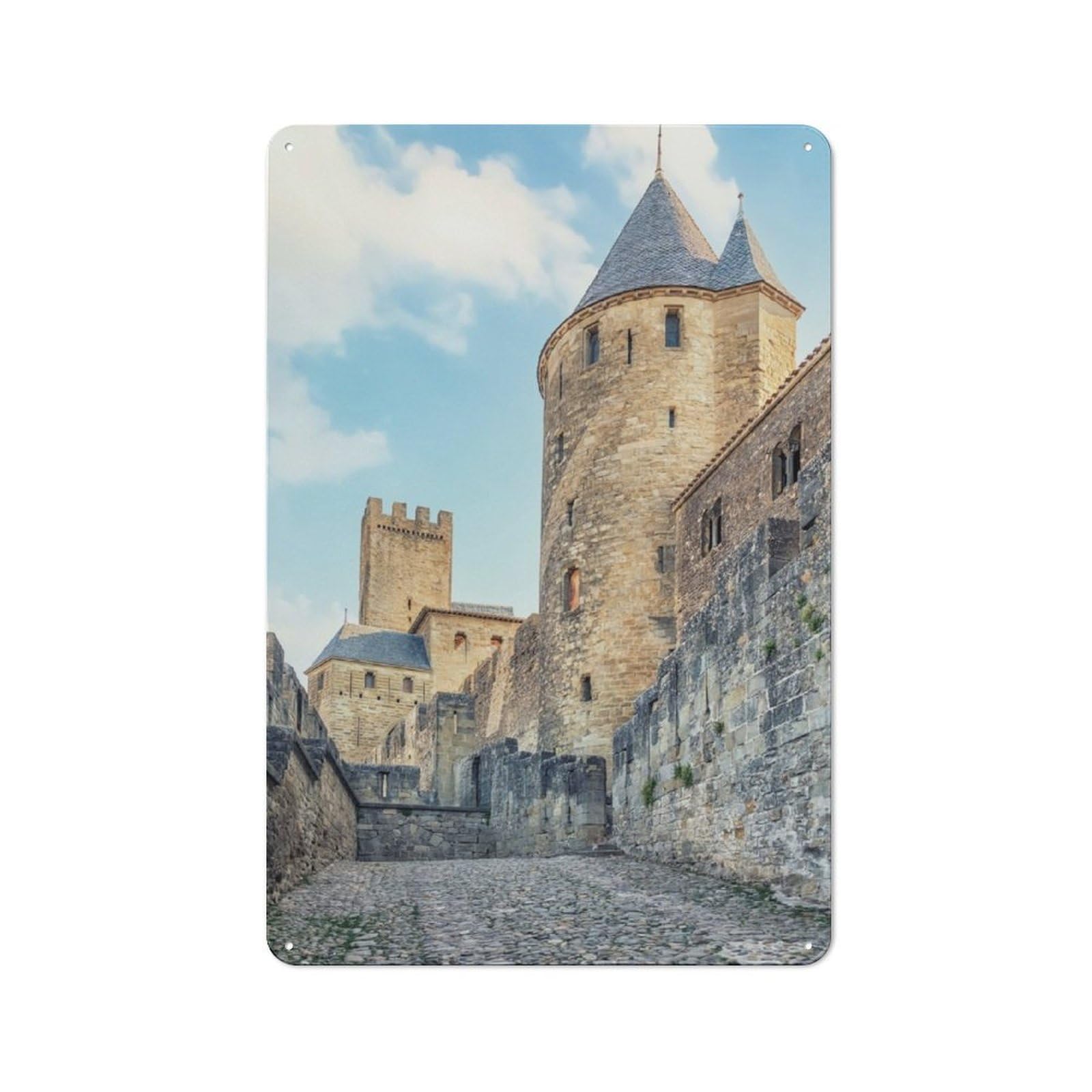 Junmoney Carcassonne Fortress Tin Wall Plaque 30X20cm With For Man Cave Or Games Room, A New Home Present For Leisure-Room Decor Enthusiasts