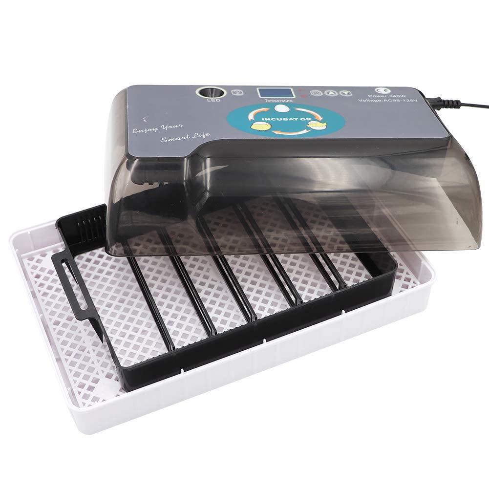 Buy SCYCGWJ Automatic Egg Incubator 12 Eggs Automatic Turning and