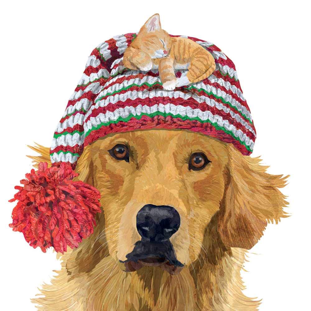 Decorative Beverage Napkins - 20 Count Red Poppies Design Paper Napkins For Parties