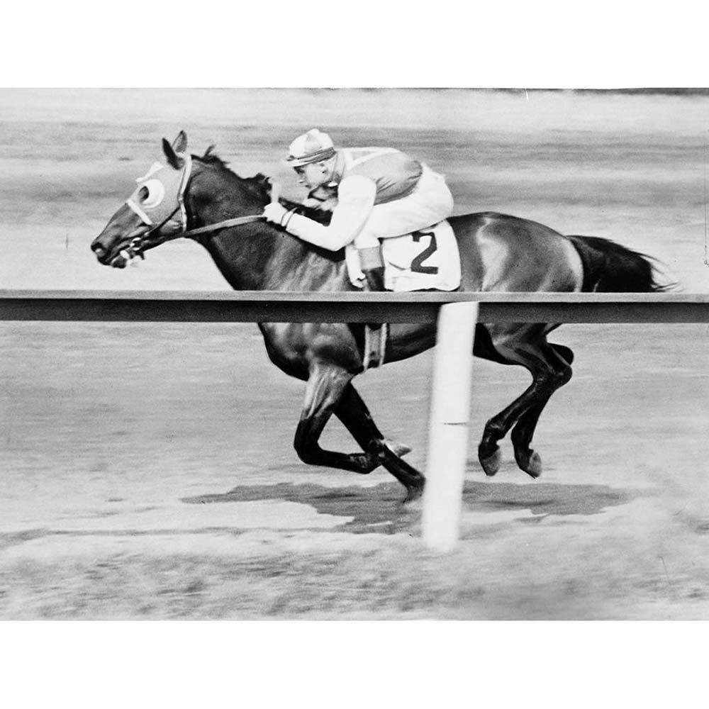 Wee Blue Coo Sport Pollard Jockey Seabiscuit Yonkers Empire City Race Art Print Poster Wall Decor 12X16 Inch