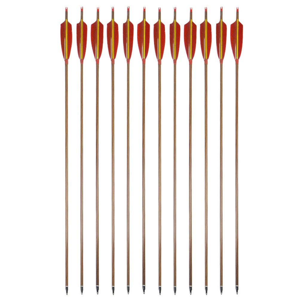 SHARROW Flèches Carbone 30 Pouces Pour Chasse – Plumes Naturelles De Dinde, Spine 340, Idéales Arc à Poulies & Arc Classique