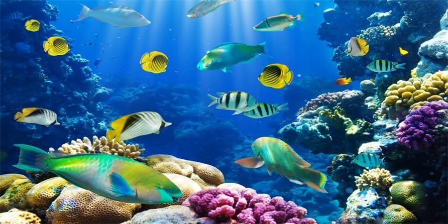 Image of YongFoto Ocean Theme Fish Tank Background 30x12 inch Coral Seaweed Reef Rock Seafloor Tropical Fish Underwater Sea World Polyester Backdrop Reptile Habitat Terrarium Aquarium Background