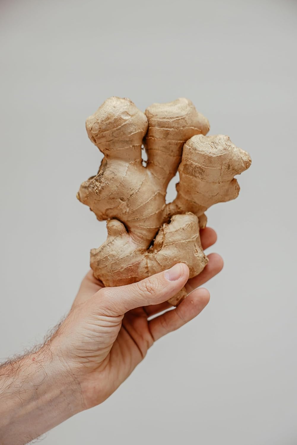 Vitalem – Jengibre Fresco 1 kg | Raíz Natural y Ecológica | Ginger | Directo del Agricultor | 100% Sostenible | Ideal para Infusiones, Zumos, Cocina y Smoothies — view 2