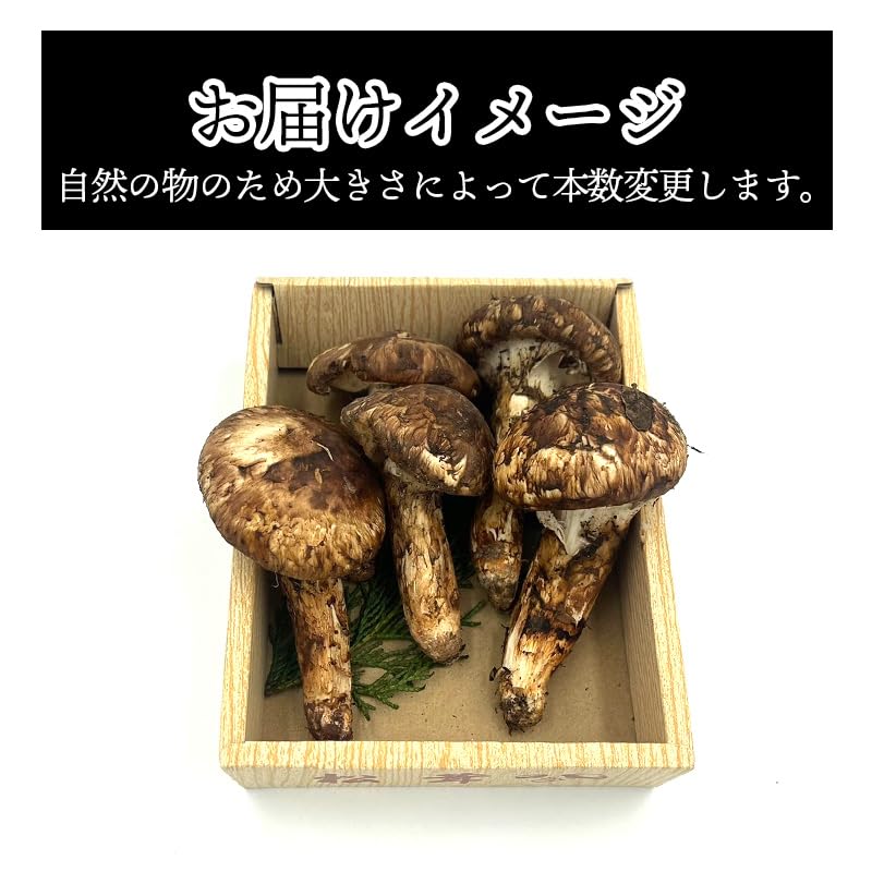 Amazon | [みさわのやさい] 松茸 国産 訳あり 家庭用 200g 国産(長野県 