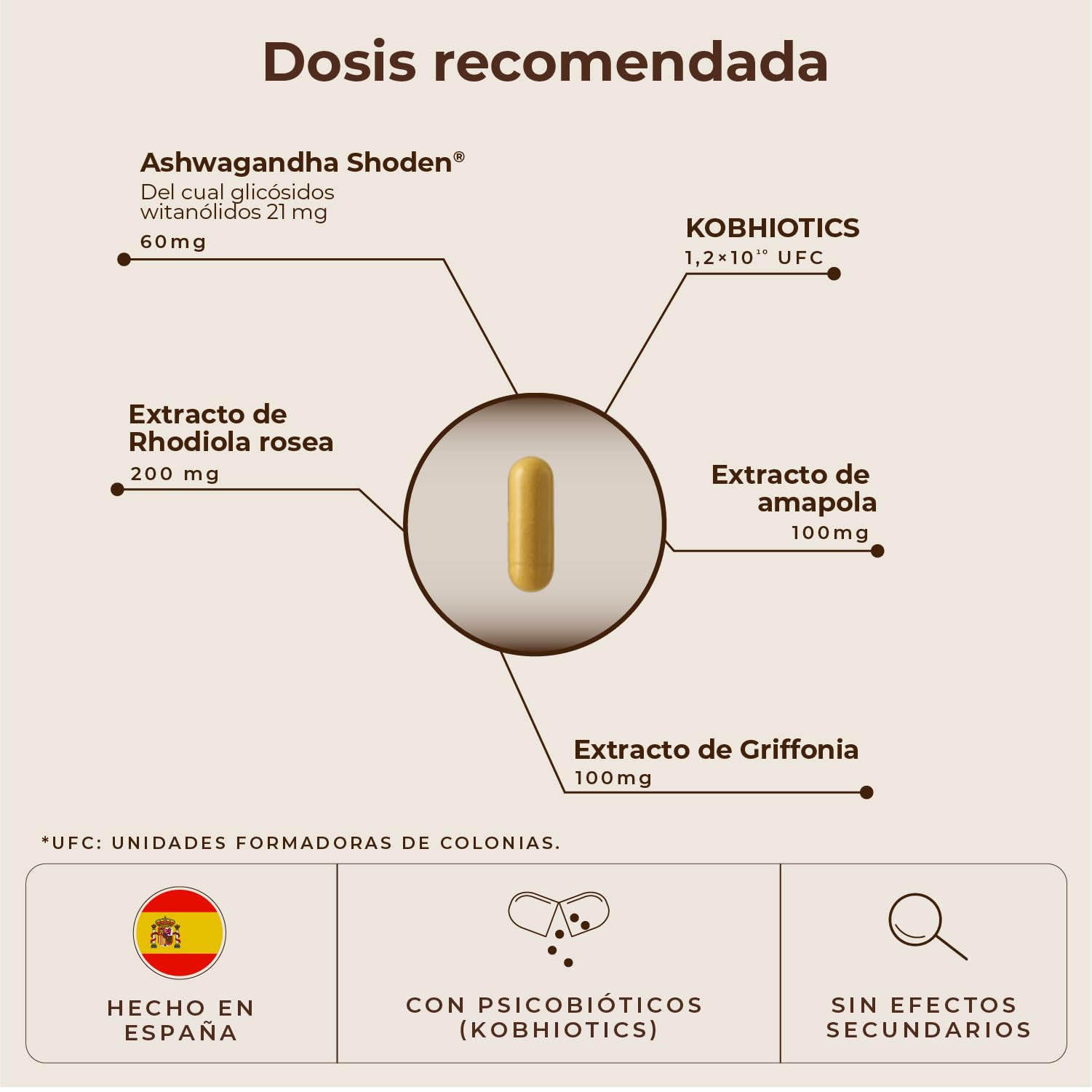 KobhoCALM Ashwagandha Shoden® Con Rhodiola y Psicobióticos | Equilibrio Emocional, Apoyo al Estrés, Claridad Mental y Concentración, 60 cápsulas veganas
