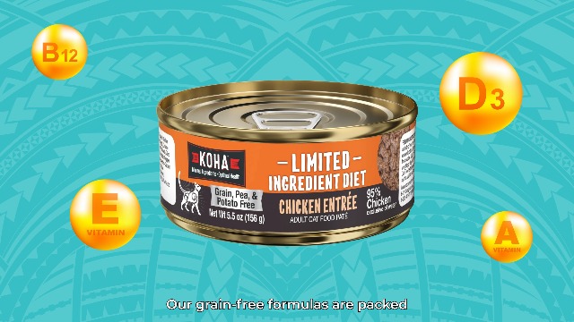 Amazon.com : KOHA Limited Ingredient Diet Chicken Pate for Cats