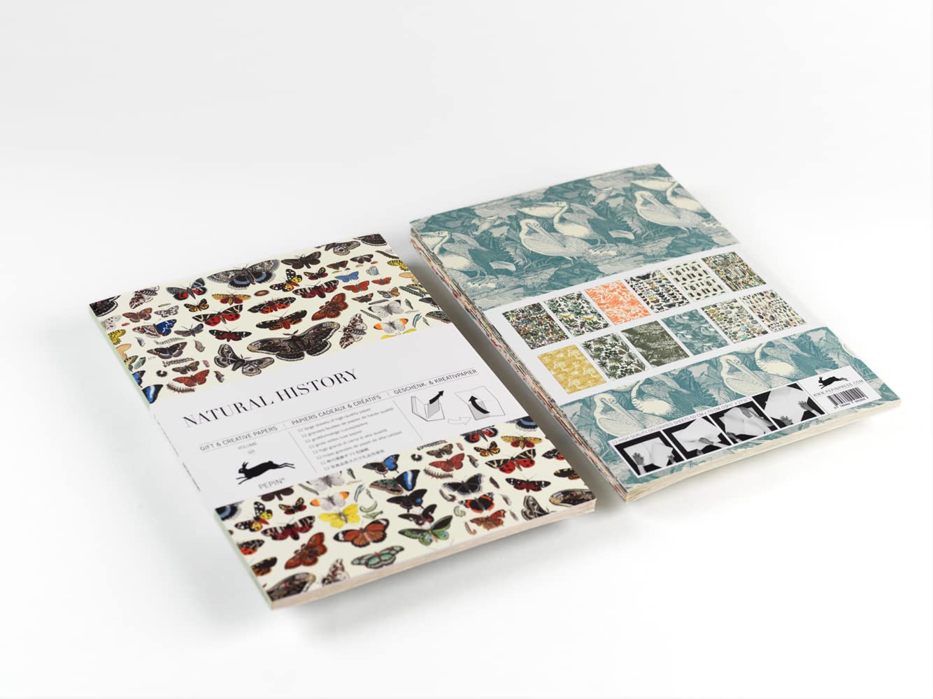 Natural History: Gift & Creative Paper Book Vol. 107 (English and Spanish and French and German Edition)