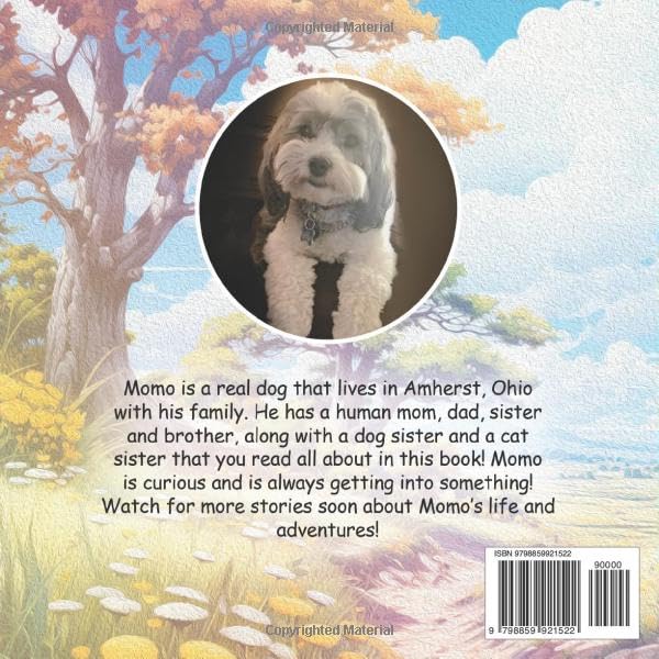 Vista 2 de Momo's Stray Cat (Momo Stories)