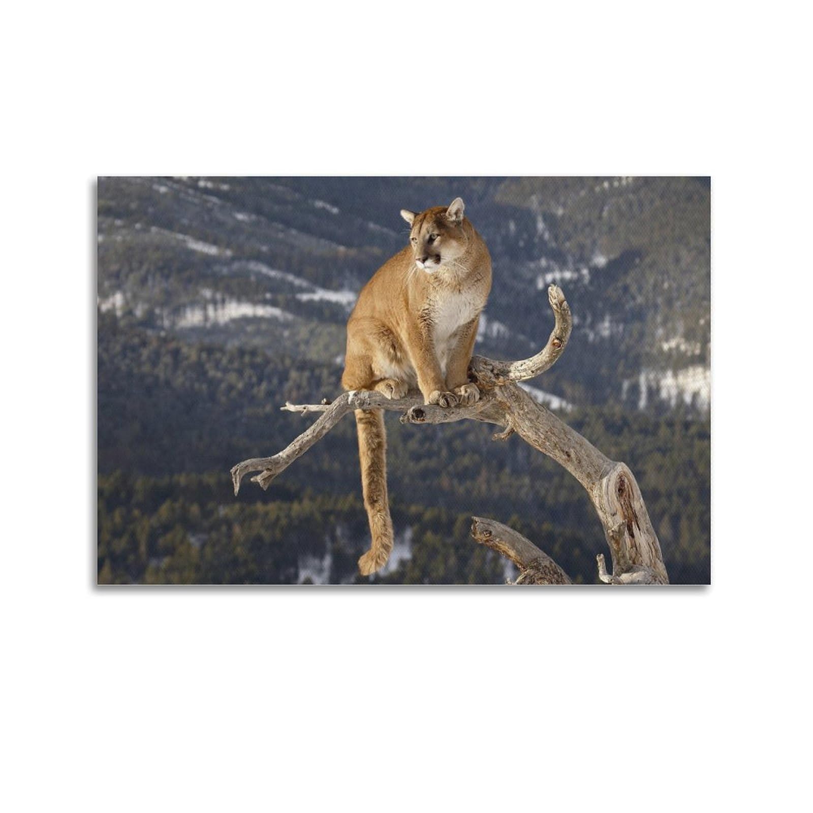 JTLFXY Animal Poster Tree with Lions Poster Decorative Painting Canvas Wall Posters And Art Picture Print Modern Family Bedroom Decor Posters 20x30inch(50x75cm)