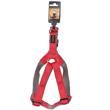 BASIL (Red Harness, Large)