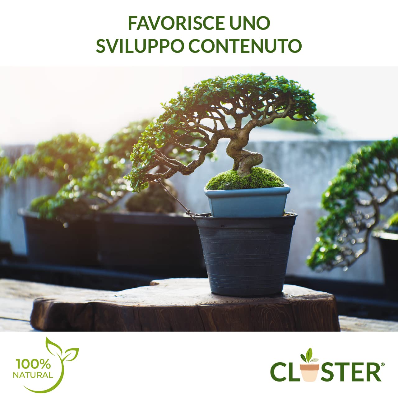 Bonsai Love 200 GR - Fertilizante Granulado de Liberación Lenta para Bonsáis - Fertilizante Natural Orgánico con Nitrógeno, Fósforo y Potasio - Para Bonsáis de Interior y Exterior