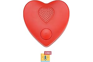 Voice Recorder: The Perfect Sound Gift