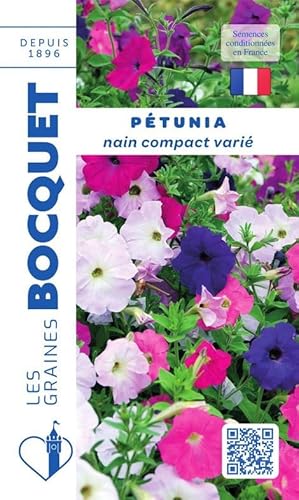 Sachet de graines de Pétunia nain compact varié - 0,5 g - fleur annuelle - LES GRAINES BOCQUET