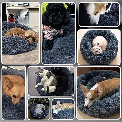 MDDK DY Hundebett,Katzenbett Flauschig,Hundekorb,Waschbar, Hundekissen 50cm, Hundekörbchen Rund aus Plüsch, Hundesofa, Katzenkorb, Hundebett für Kleine Mittel Hunde, Katzen Dunkelgrau
