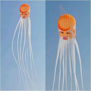 Kite Chinese Traditional Longevity Kite, Beach Kite, Flying Giant Octopus Kite Flying Soft Kite, Octopus Kites Giant Kites Easy to Fly (Color : 20m)