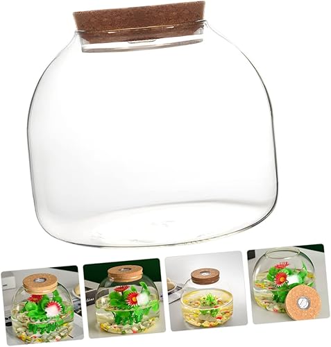 Miniatura 7 de iplusmile 4 unids botella de vidrio de corcho cuencos de vidrio de pescado anémona vidrio transparente grandes macetas de vidrio Bubble Bowl de