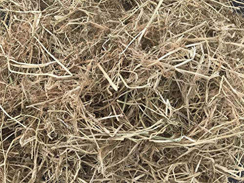Rice Straw Mulch, 42 quarts, Natural Rice Staw Mulch for Landscapes and Gardens