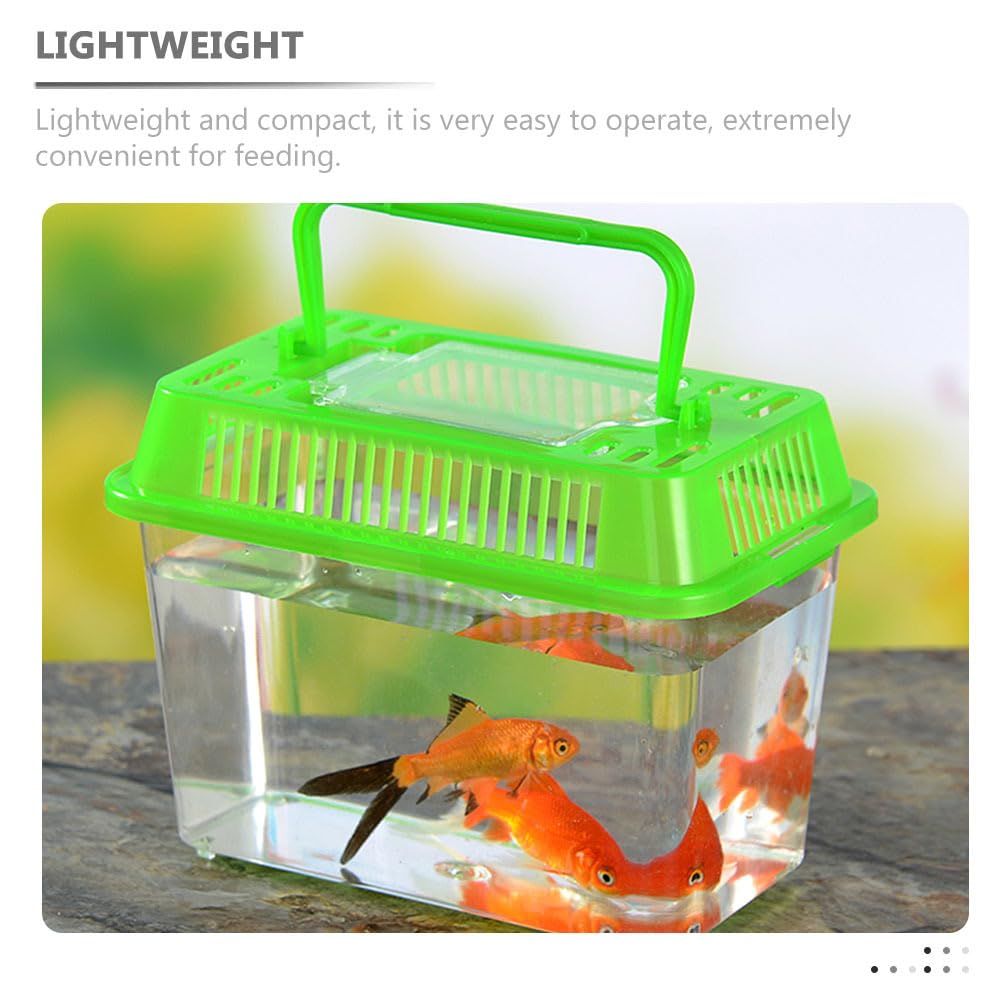Goldfish Container Size For A Mini Aquarium preview