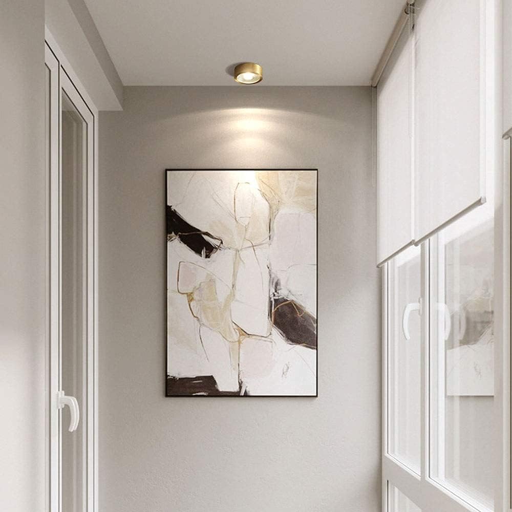 Spotlight,Led Ceiling Spotlight Copper Indoor Downlight, Ceiling Mount Spot Light Fixtures Set of 2, Surface Mounted Accent Spot Lighting Fixtures for Commercial Household/6000K-9W