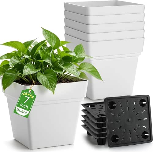 6-Pack 7 Inch Square Planters for Small Indoor Plants, Plastic