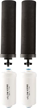 Black Berkey Replacement Filters & Fluoride Filters Combo Pack - Includes 2 Black Filters and 2 Fluoride Filters by Berkey