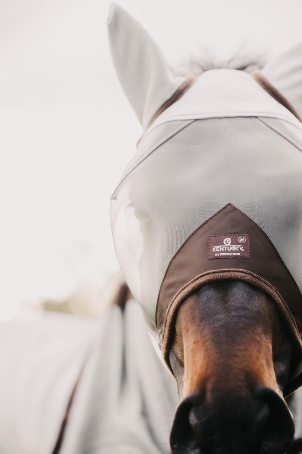 Kentucky Horsewear - Masque Anti-Mouches Classie - Professionnel - Noir - Moyen