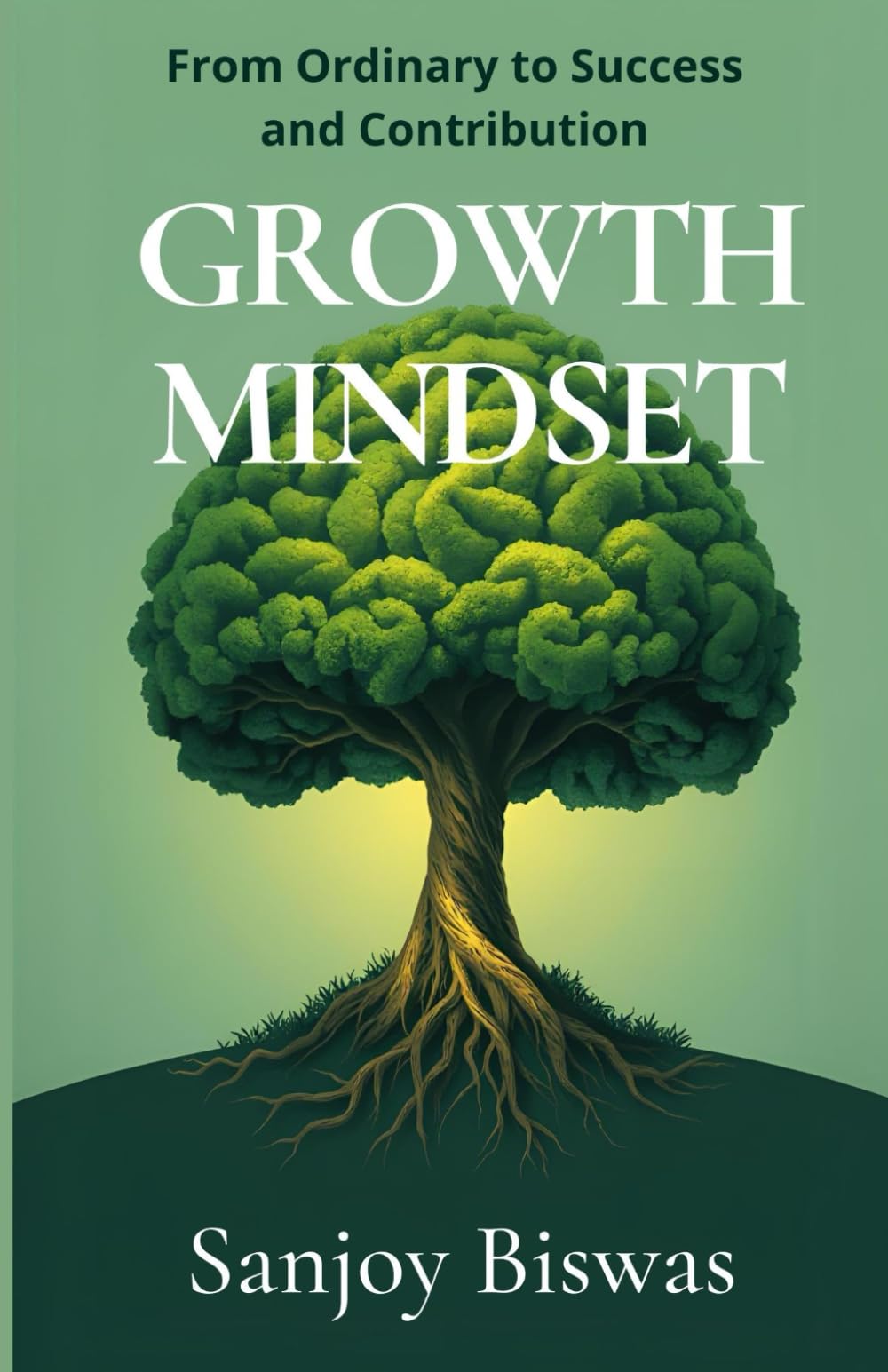 Growth Mindset: From Ordinary to Success and Contribution