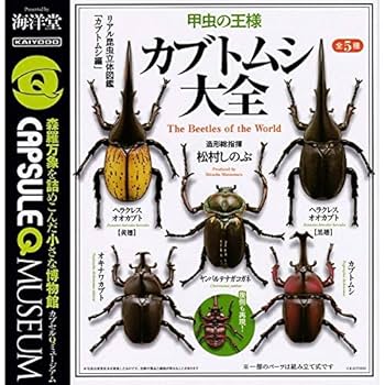 (未使用･未開封品)　カプセルQミュージアム 日本クワガタムシ大全 (単品) 60wa65s Amazon.co.jp: 海洋堂 カプセルQ ミュージアム 日本クワガタムシ