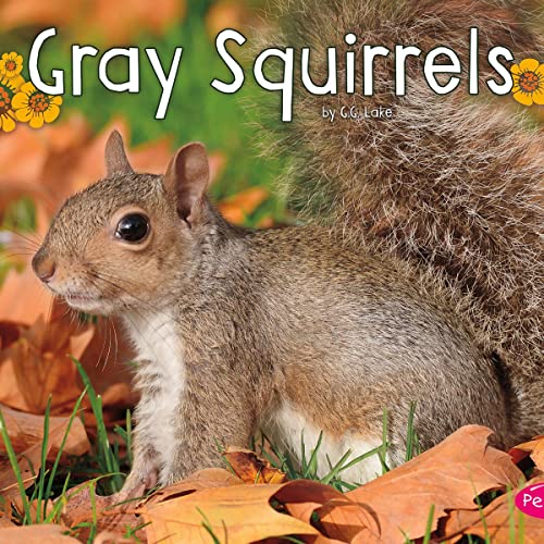 Gray Squirrels by G.G. Lake episode artwork
