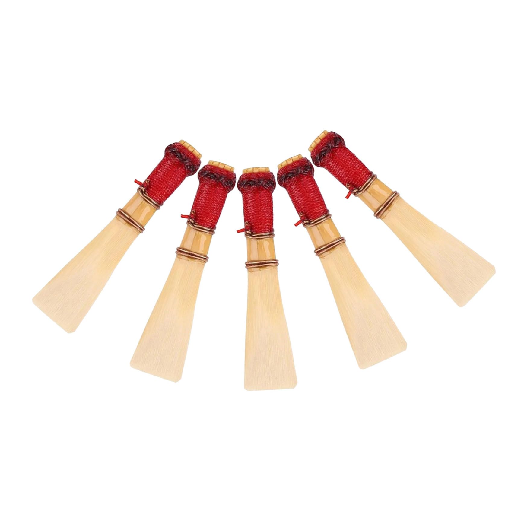 Ance per Fagotto 5 Pezzi in Reed, Parte per Strumento a Fiato | Conservazione Pratica, Set per Principianti e Professionisti D’orchestra, Accessorio Custodia e Box