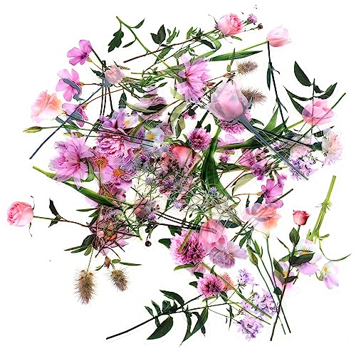 40 Wasserdichte, transparente Aufkleber für Blumenpflanzen, Dekoration, Scrapbooking, Handy, Wand, Buch, Möbel, Gepäck, Album – Blume