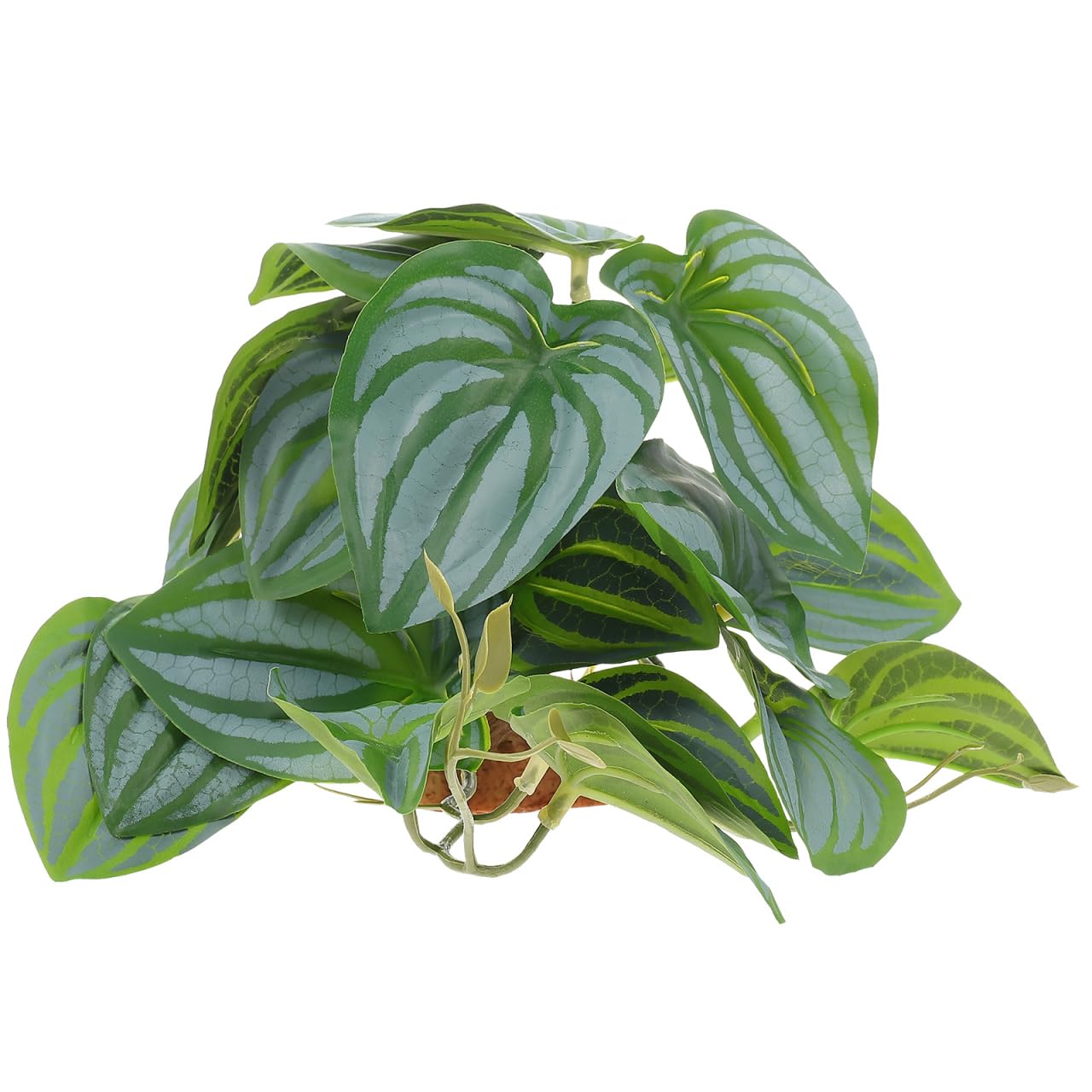 Toddmomy Artificial Plant Terrarium Plant Decor Reptile Tank Accessory Green Reptile for Lizard Hide Spot Easy Attach Habitat D Cor for Terrarium Fish Tank and Amphibian Enclosures