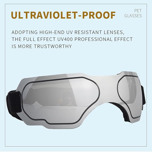 Foto 4 de 6 de Gafas de sol para perros medianos, con correa ajustable, protección UV, a prueba de viento, a prueba de nieve