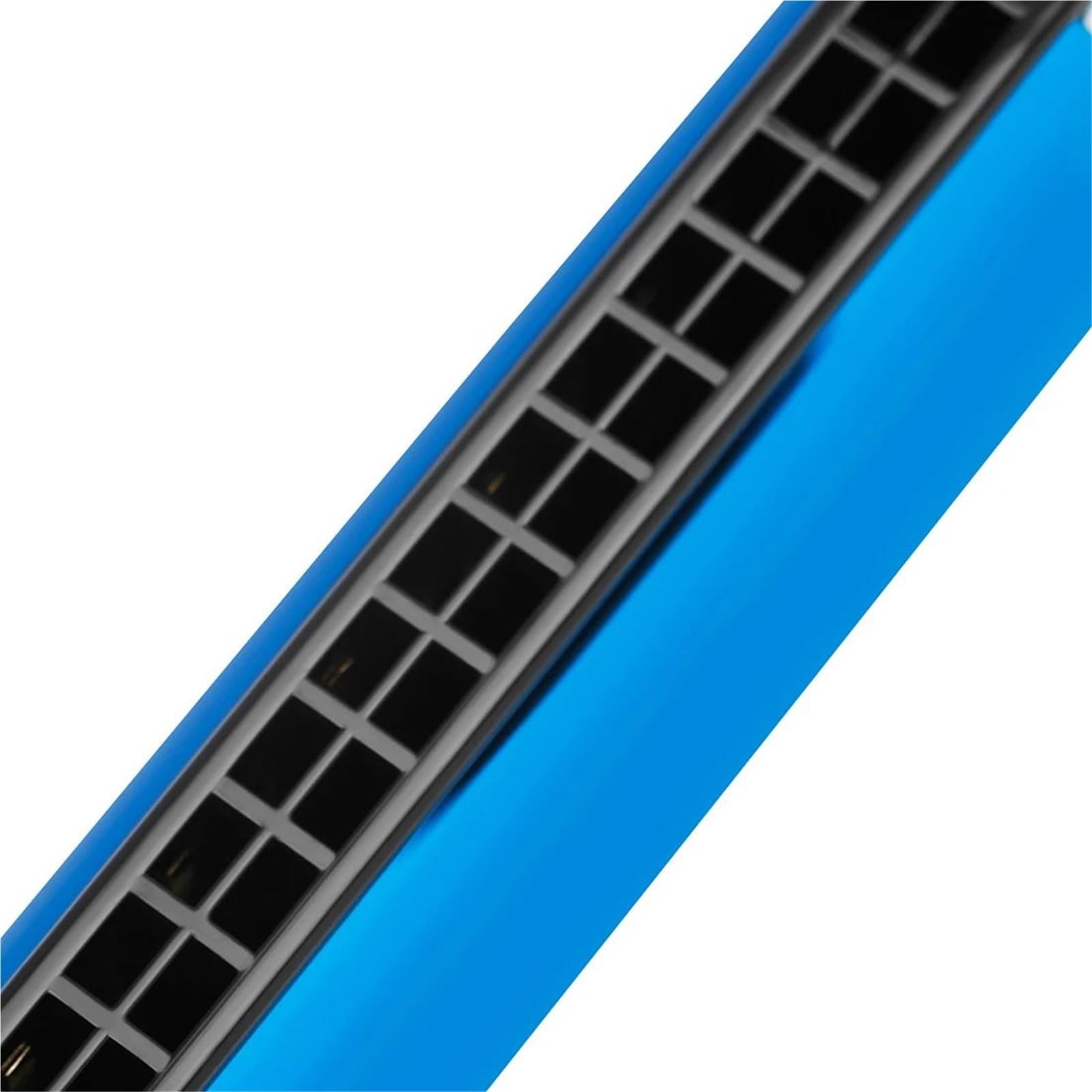 Armonica Armonica A Bocca Professionale A 24 Fori Con Custodia Per Principianti Strumento A Fiato Armonica A Bocca(Blue)