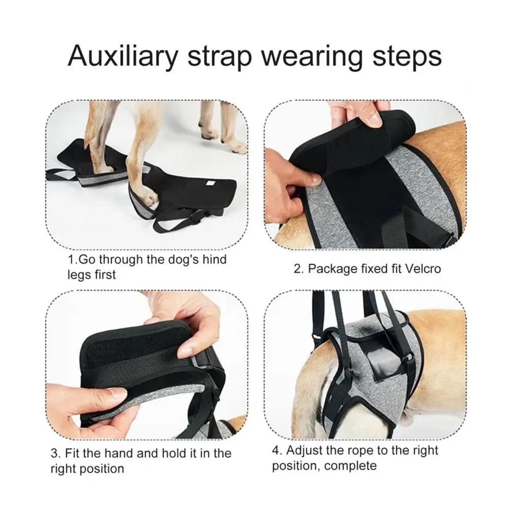 Arnés De Apoyo para Patas Traseras,Arnes de Transporte para Perros, Arnés de Elevación para Perros,Transpirables Acolchadas Ajustables,Impermeable,para Mascotas Y Rehabilitación Correas(XL,Gris)