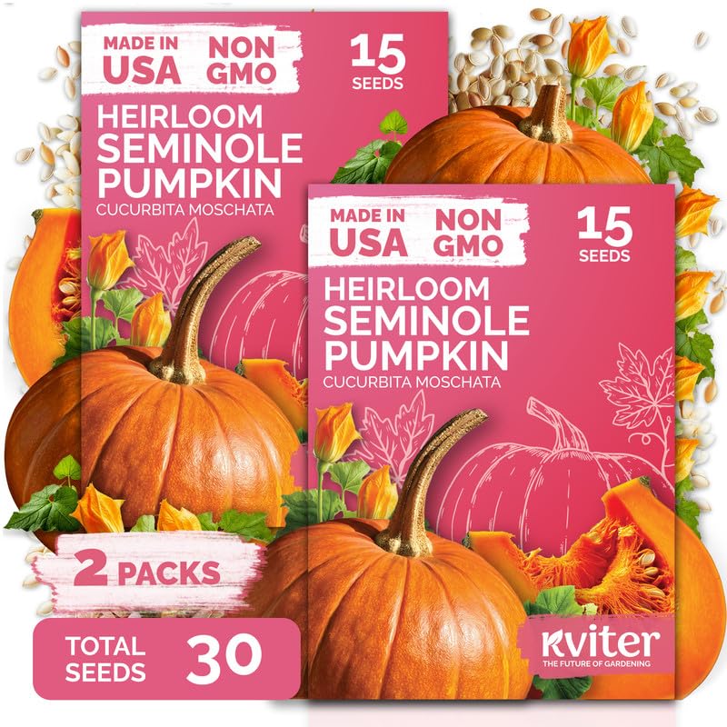 Amazon.com : KVITER 30 Seminole Pumpkin Seeds for Planting