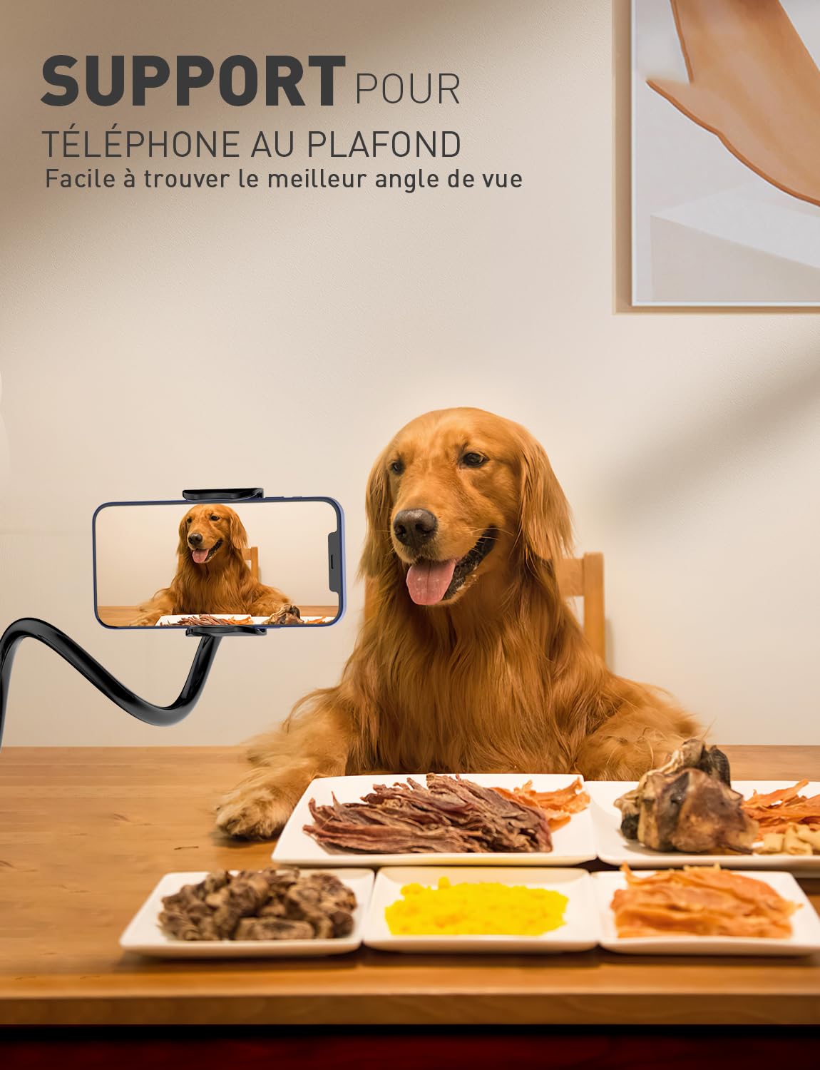 TRYONE Support de téléphone pour lit Flexible Long Bras réglable de en col de Cygne pour iPhone, Smartphone, Longueur Totale 90cm/35 Pouces