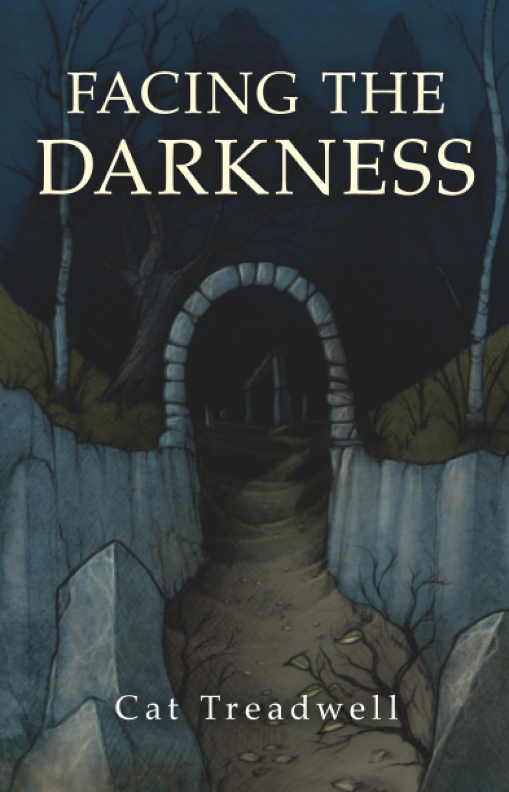 Facing the Darkness by Cat Treadwell PAPERBACK 9781780999005