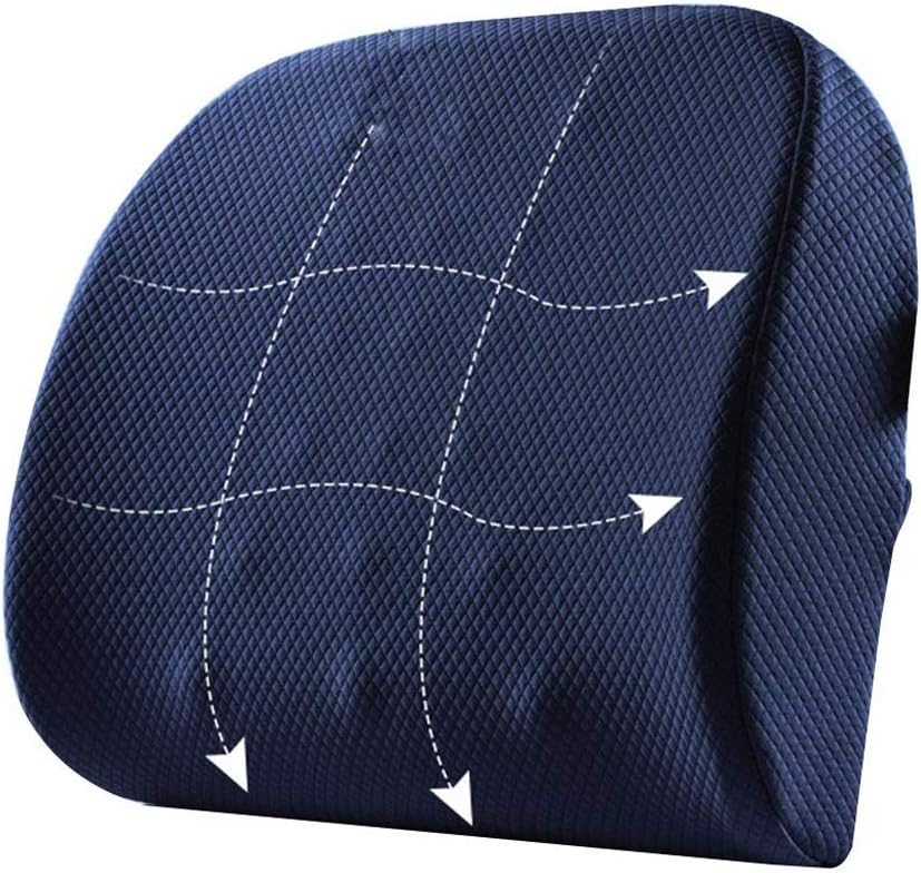 Lumbar Pillow - Memory Foam Back Cushion Lumbar Support Pillow for Office, Car and Chair, Standard(E)