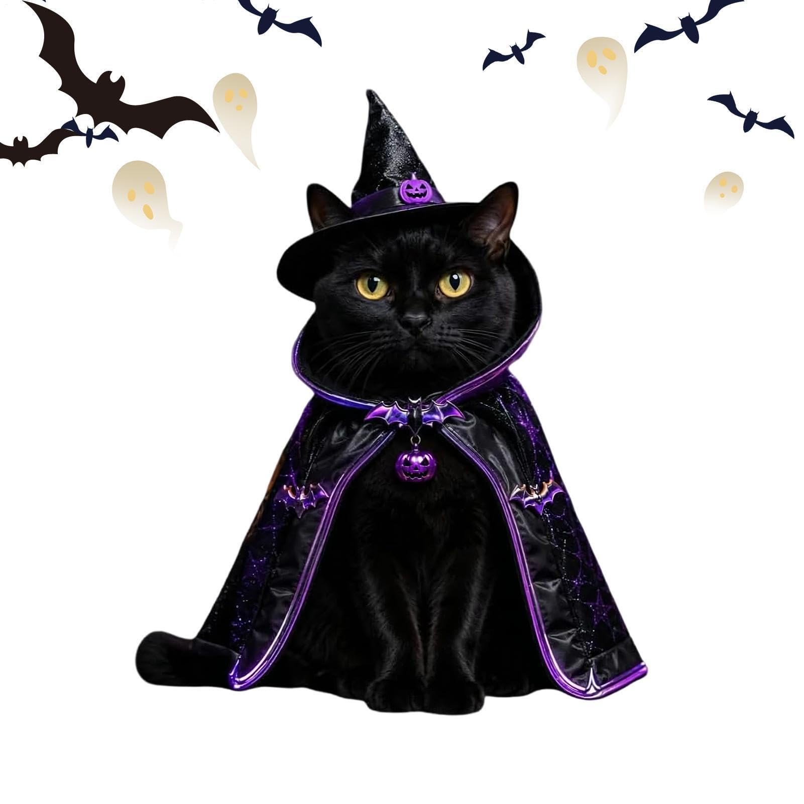 Disfraces Halloween para Gatos para reuniones de vacaciones en casa y fotos