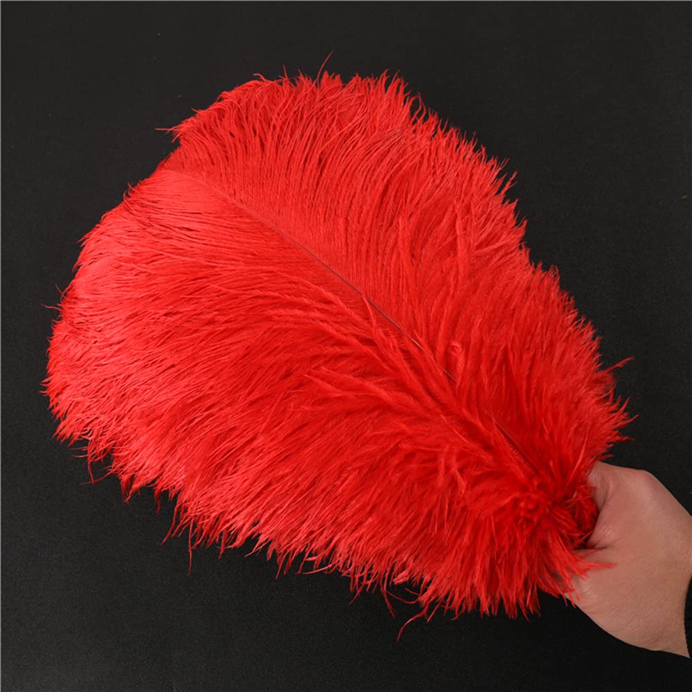 Duories Lot 10 Plumes d'autruche Naturelles 35 à 40 cm Plumes pour Loisirs créatifs pour Attrape-rêves Accessoire décoration la Maison,Costume,décoration Table Mariage,fête,Chapeaux Rouge