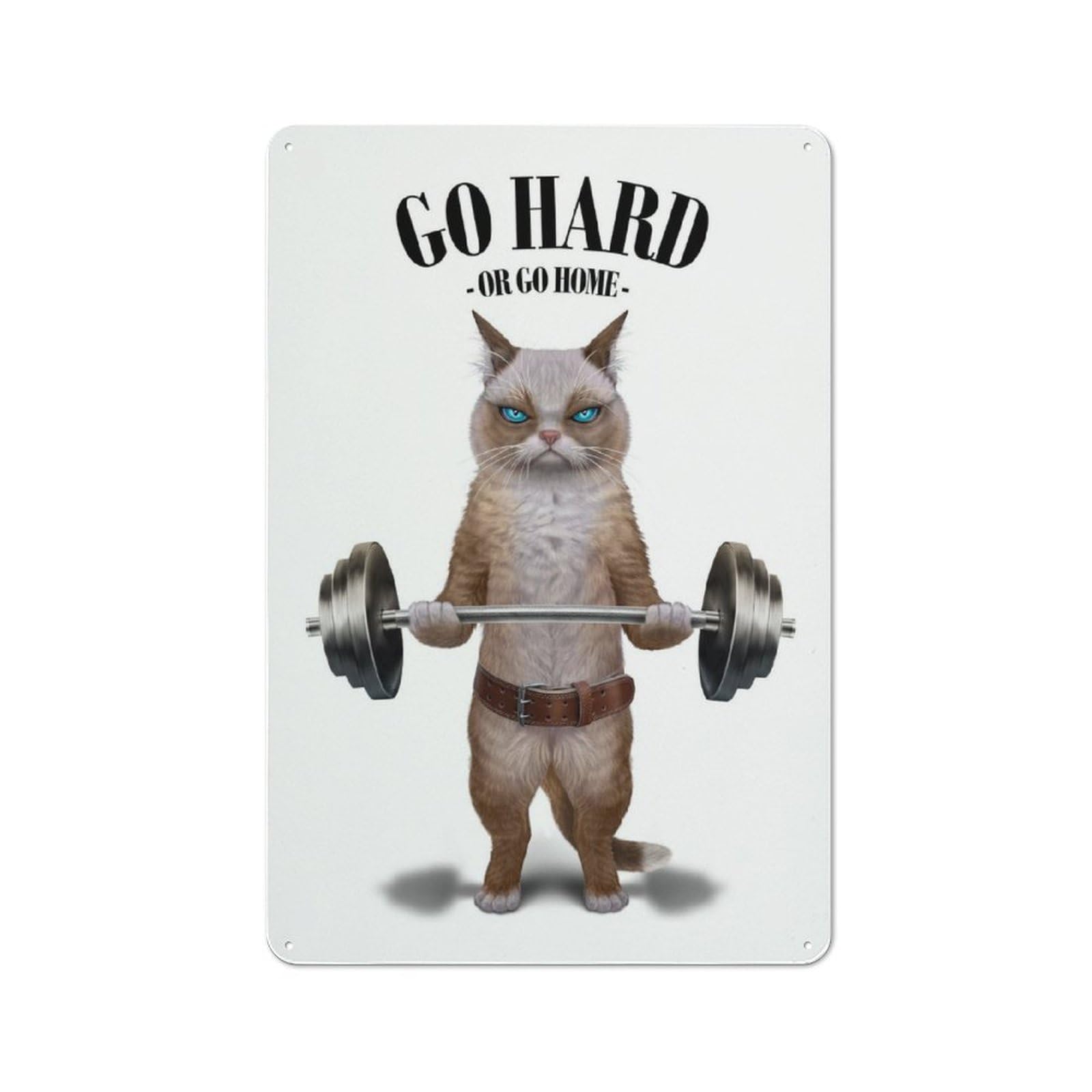 Junmoney Ragdoll Cat Weightlifting Vintage Metal Plaque 30X20cm For Dining Room Or Kitchen, For Home Decor Collectors Refreshing A Room In Autumn